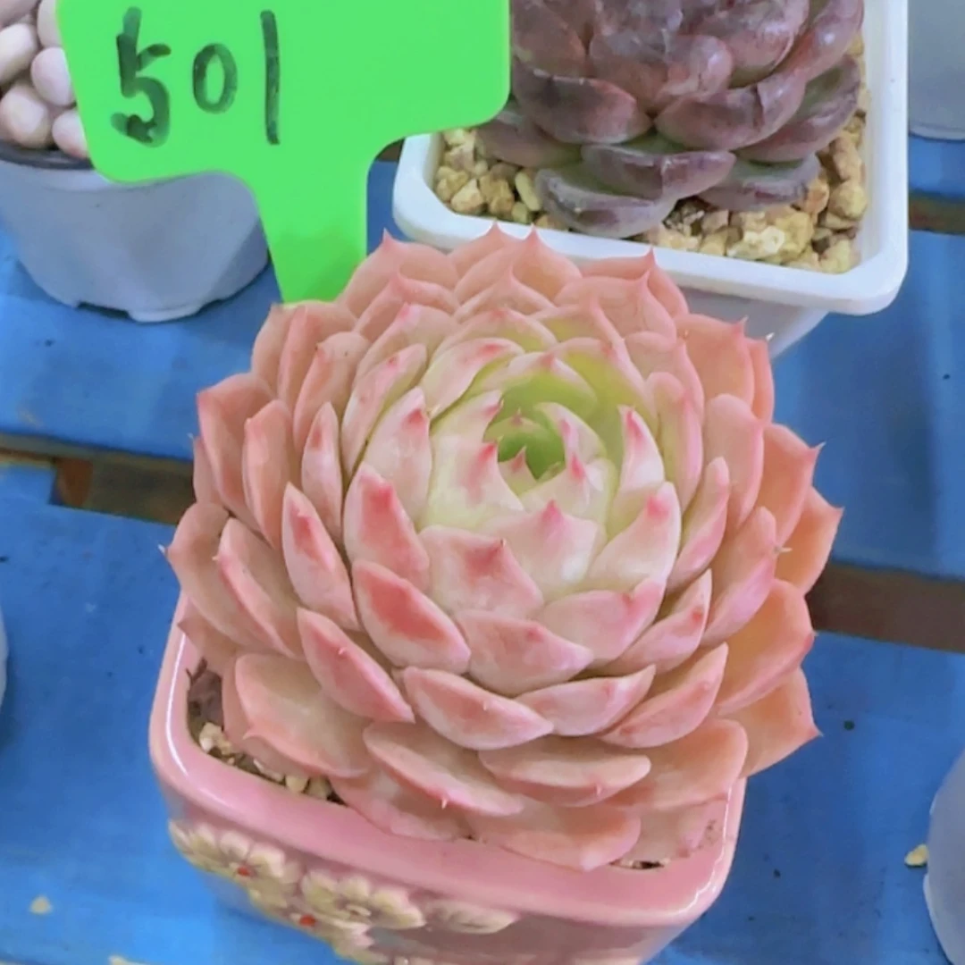 【闪购商品】用****7501