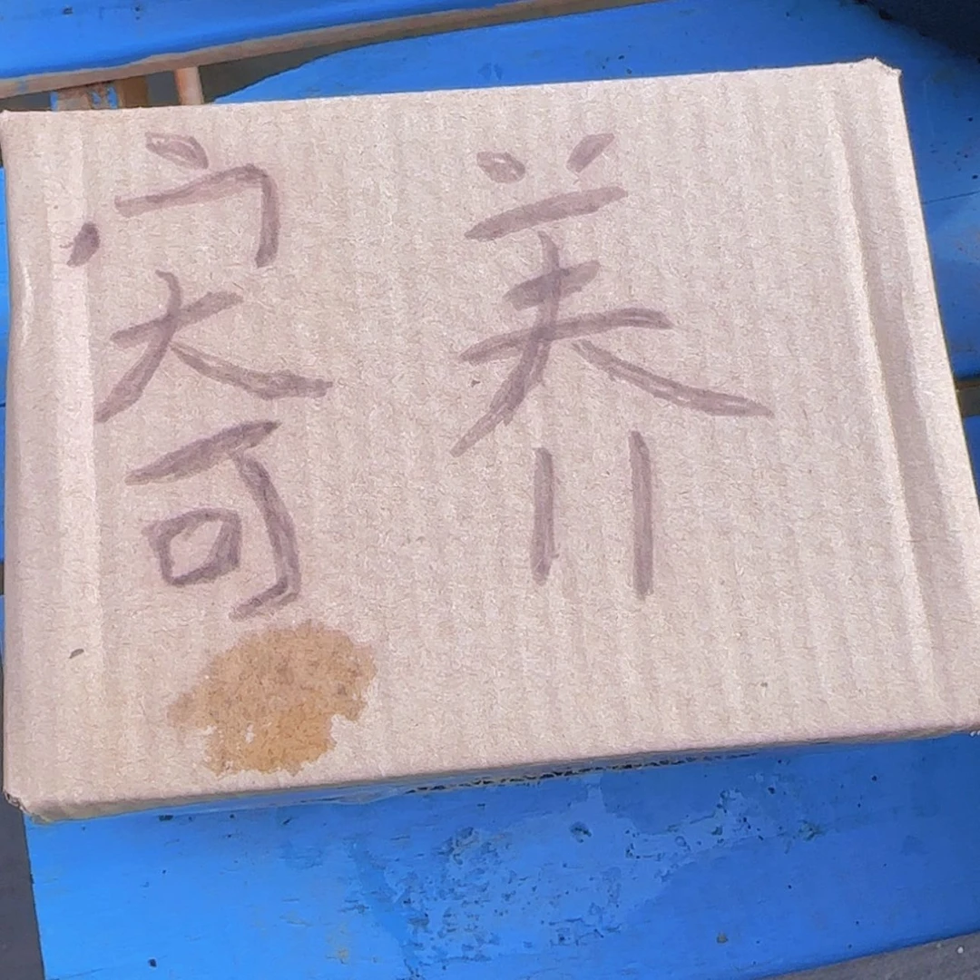 【闪购商品】寄养。。。。。。