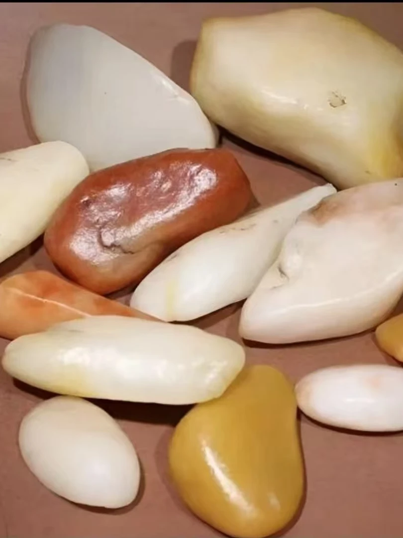 新疆戈壁三彩盆景石 黄蜡石 三彩石 泥石【一物一拍，多样性发货】