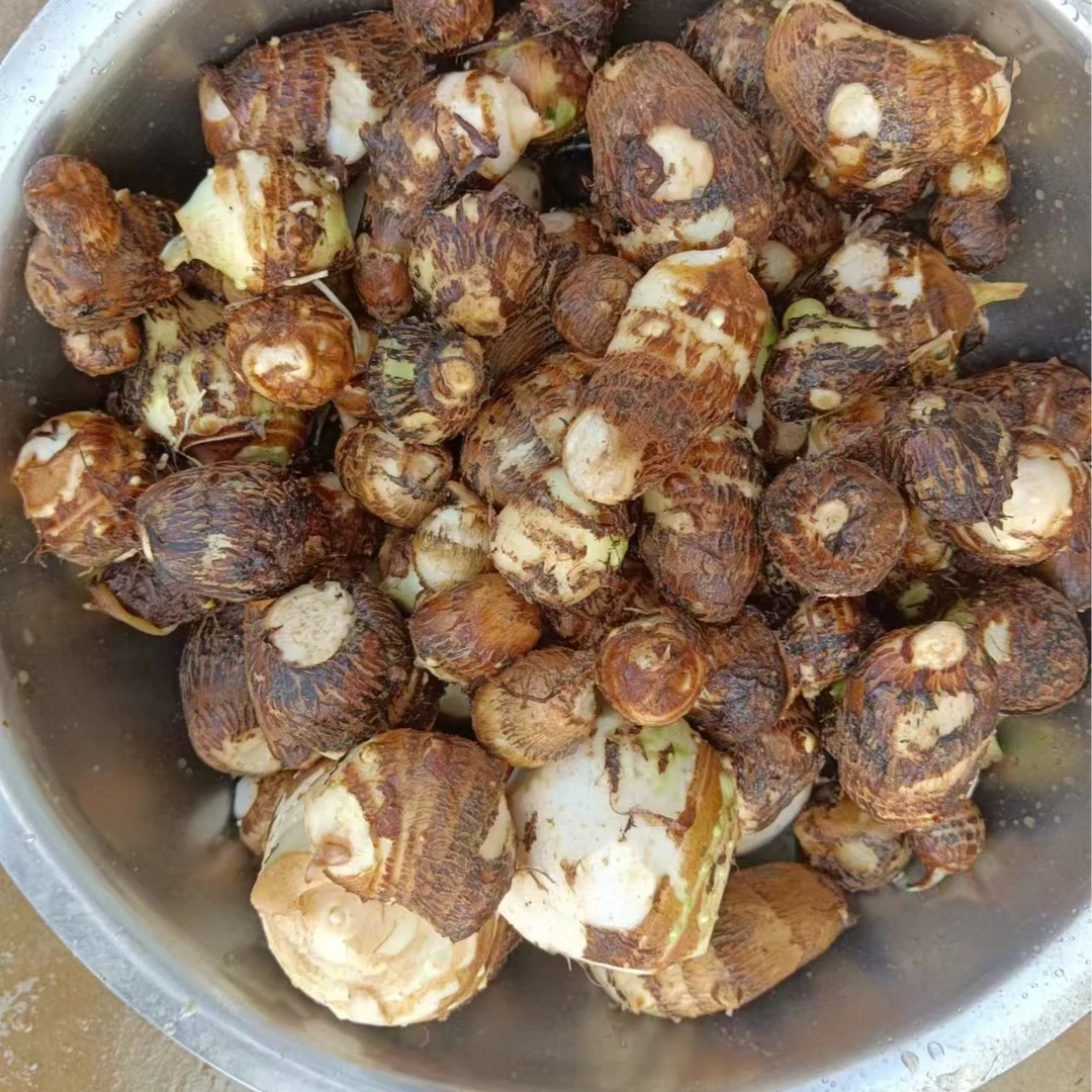 衡山本地软糯毛芋头