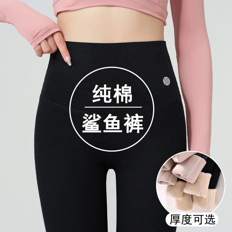 纯 棉鲨鱼裤女秋冬外穿2024新款加绒加厚高腰瘦腿羊 羔绒打底裤