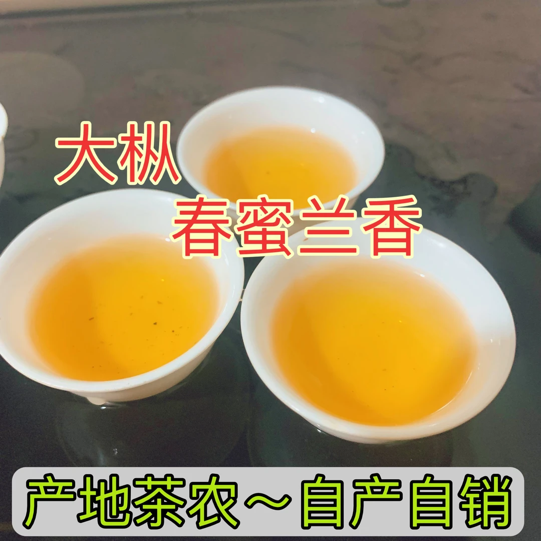 【茶农】大枞春蜜兰香(浓香型)凤凰单枞岭头单丛潮州工夫茶103