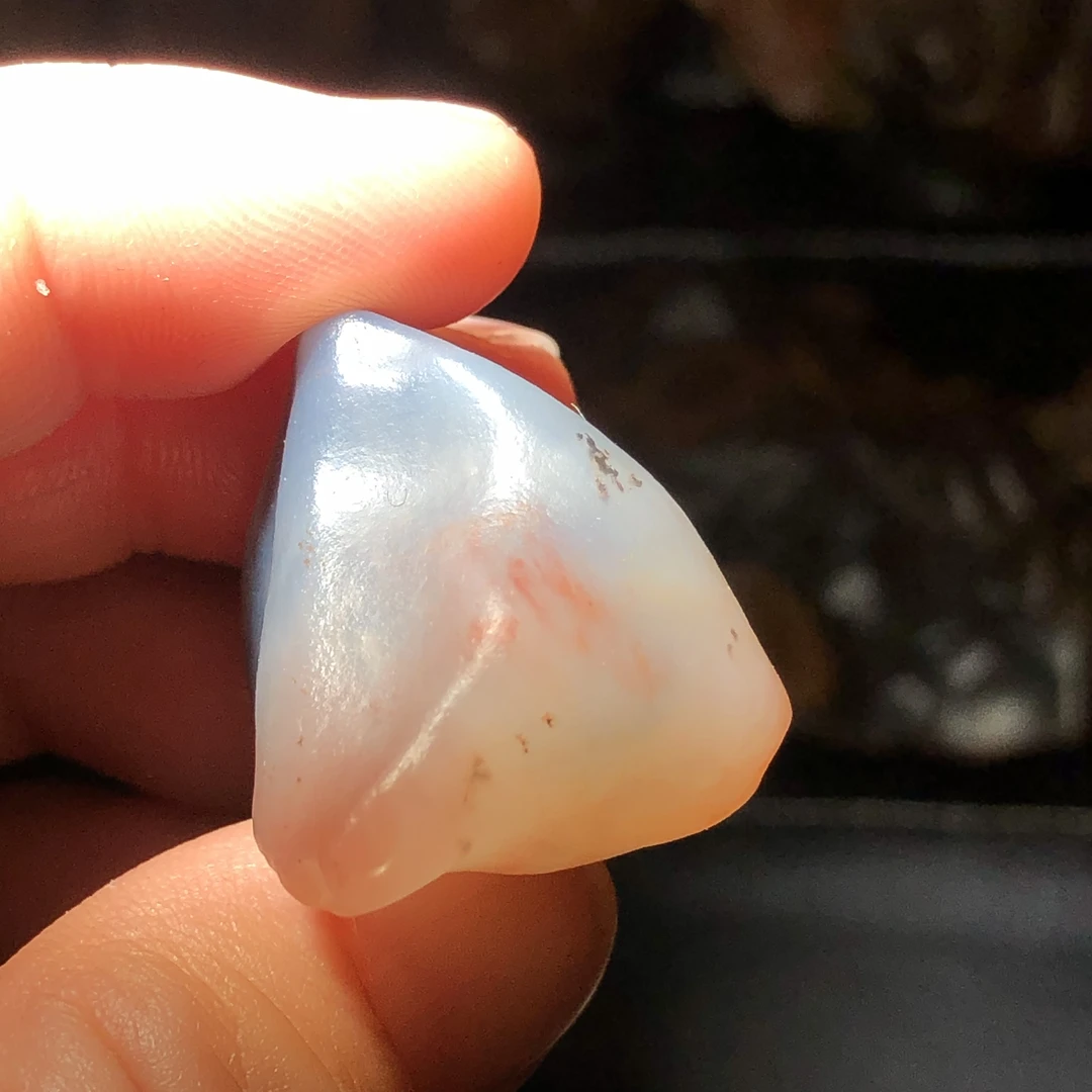 阿拉善曼朵奇石 象形石 戈壁石