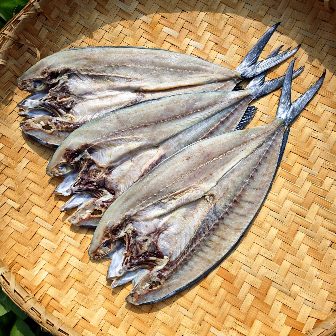 咸鲅鱼鲅鱼干大鲅鱼干刀鲅鱼圆头鲅鱼（半干咸鱼）5斤装