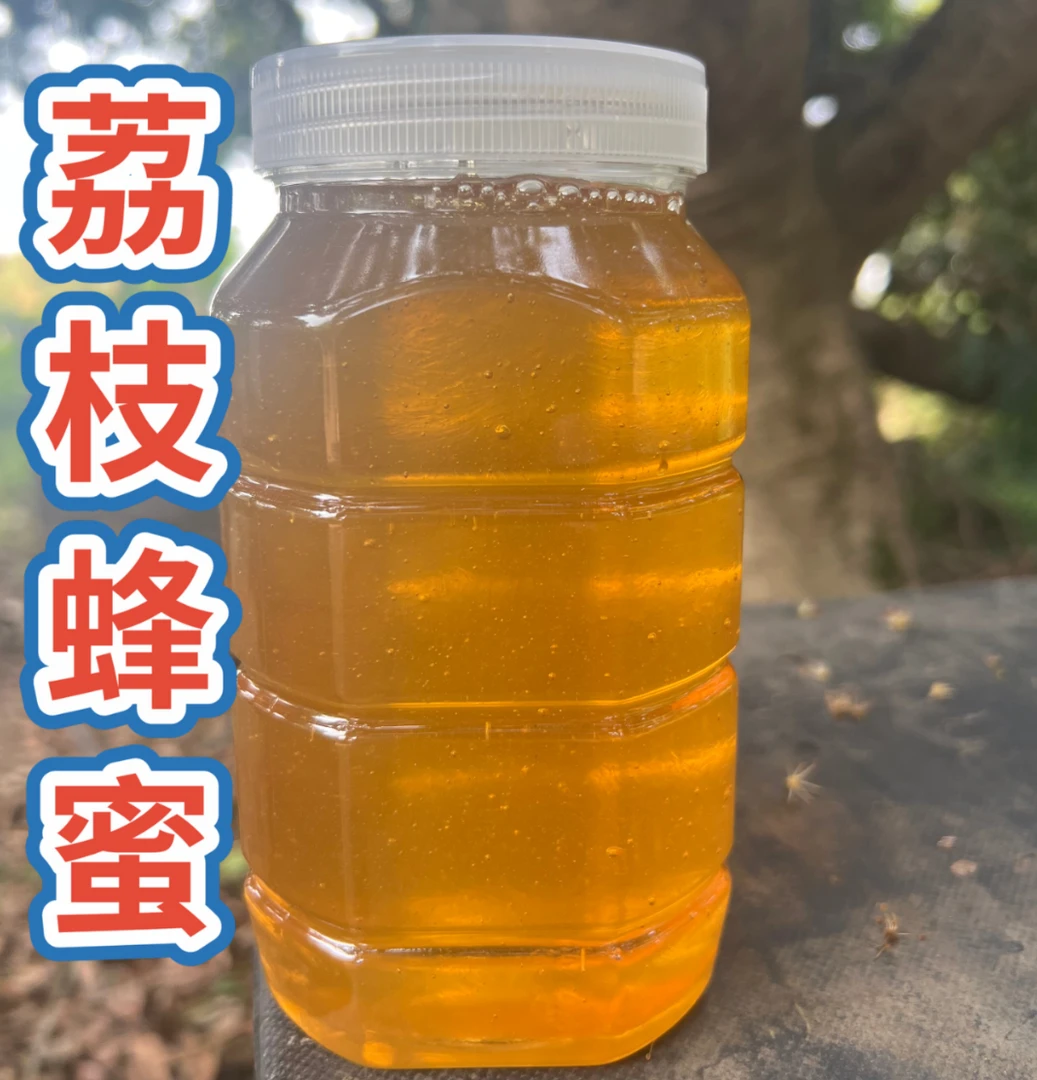 【1】新鲜《荔枝蜜》农家自产纯天然自家蜂场直发