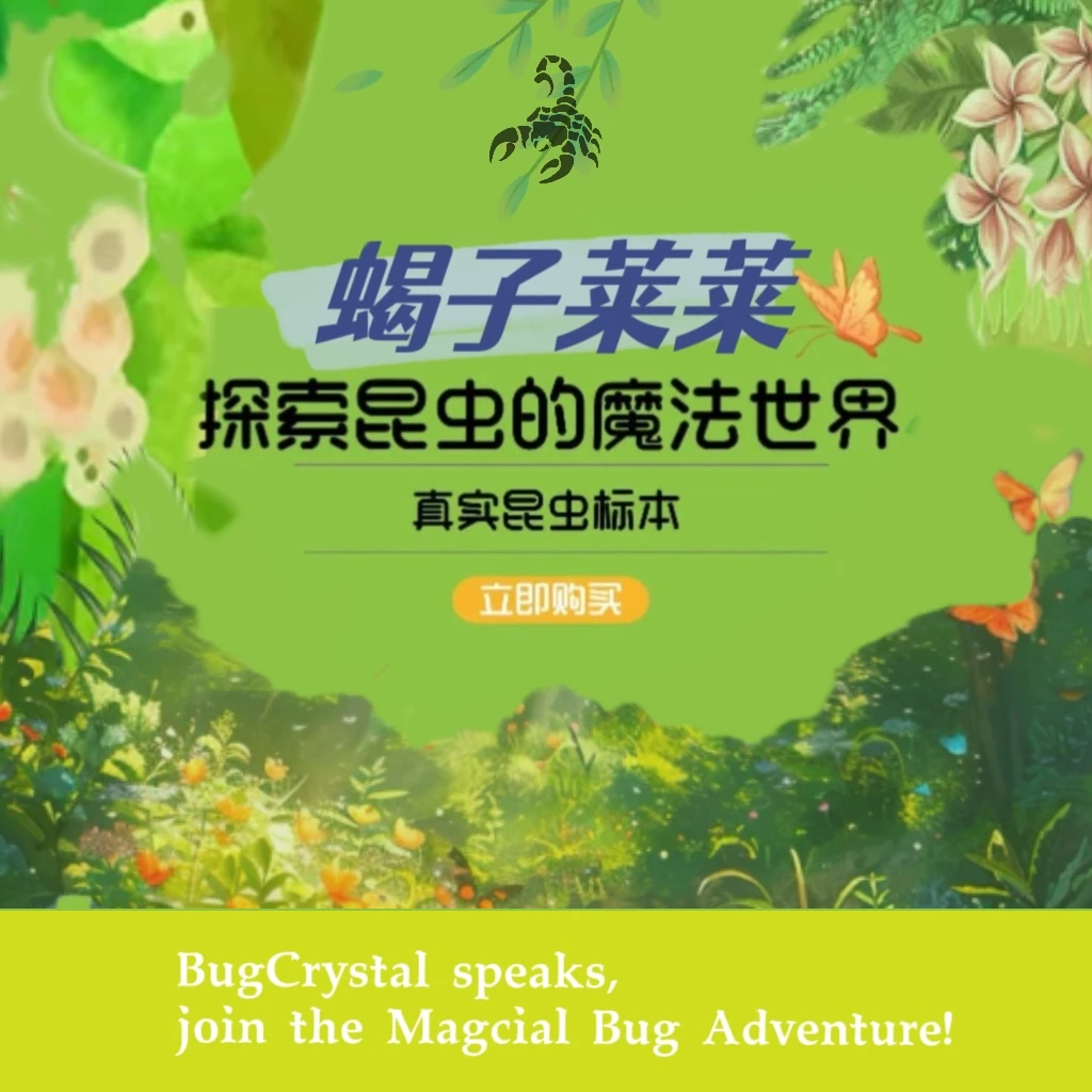 （8-13分彩蛋、终、兑换区）动植物标本系列收藏摆件挂件特别礼物