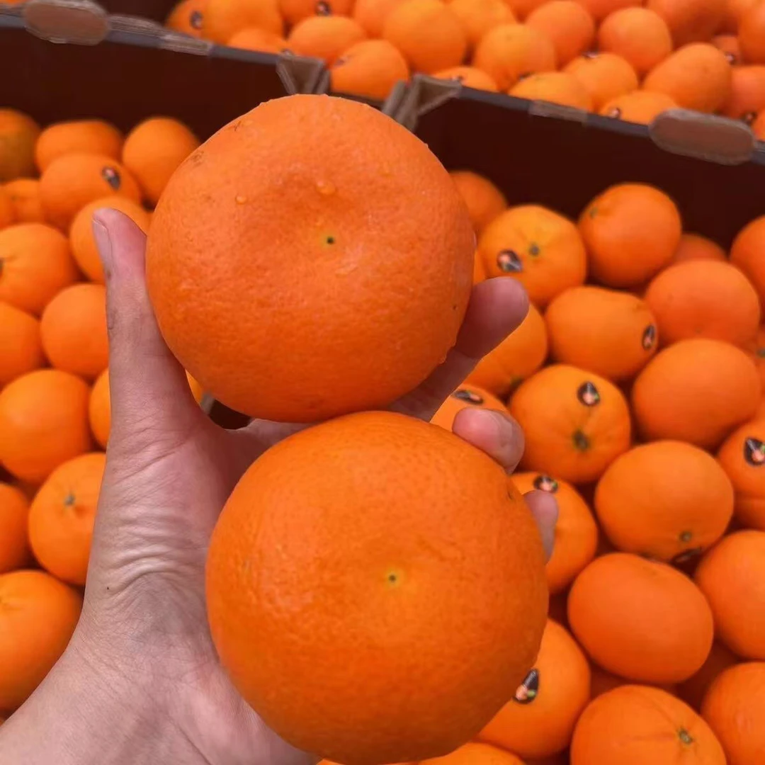 进口南非软皮橘