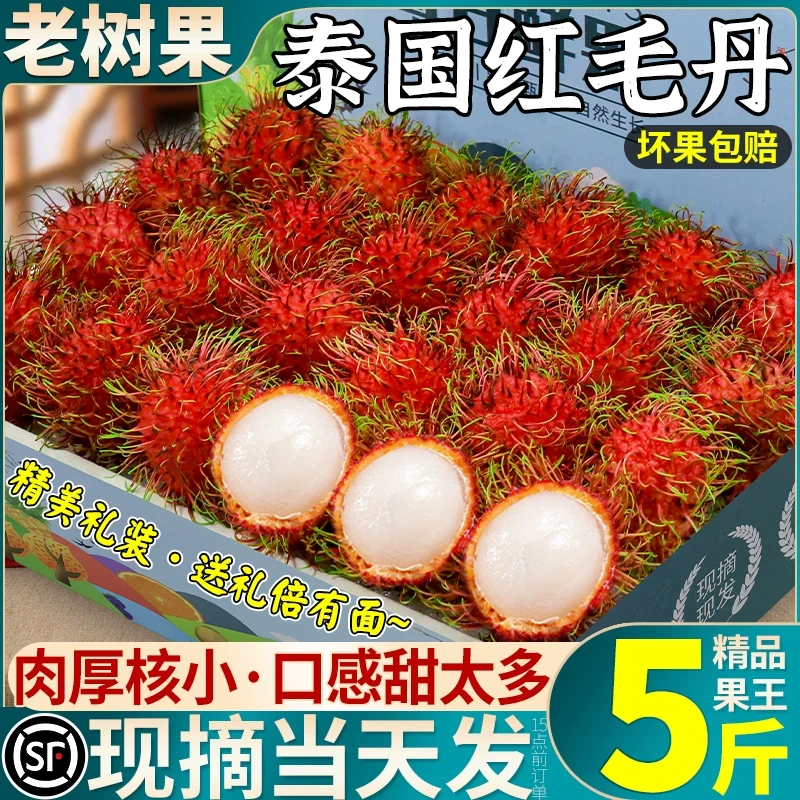 顺丰大果泰国红毛丹1-5斤新鲜水果进口红牡丹毛荔枝当季整箱包邮