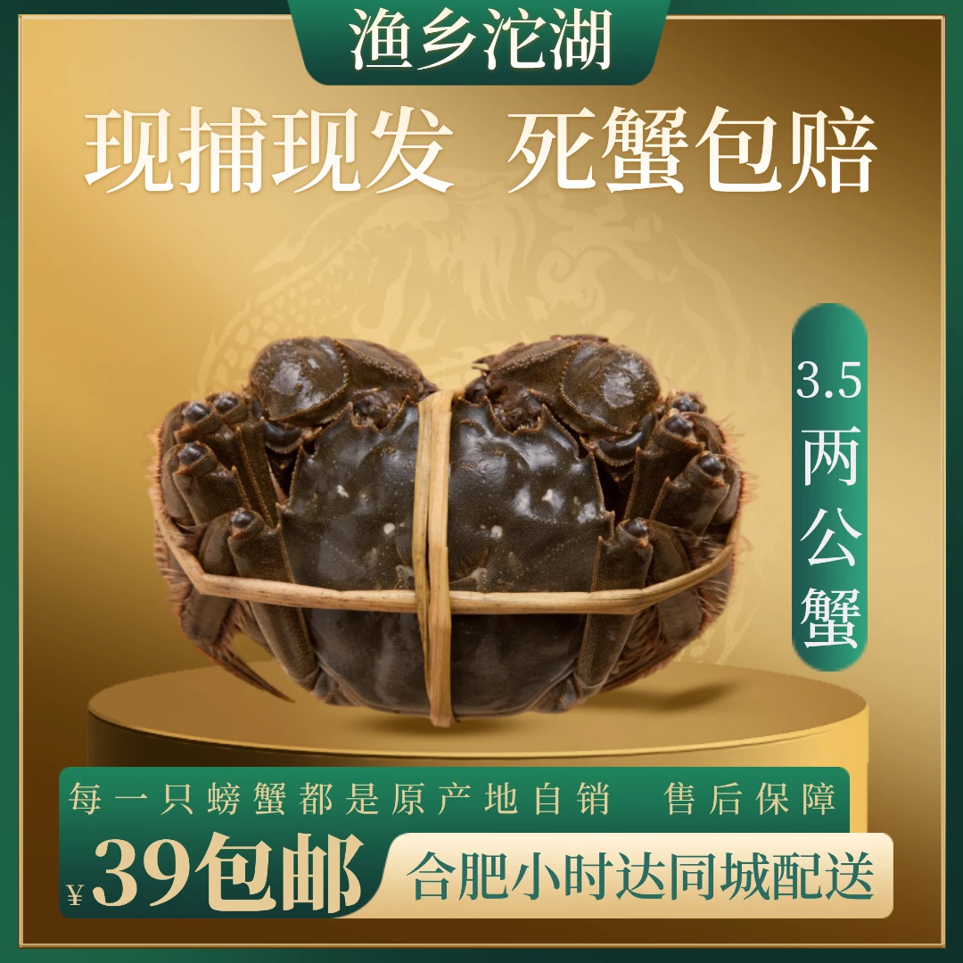 【宠粉·3.5两公蟹数量自选】活蟹现发（公蟹3.3两-3.7 两）