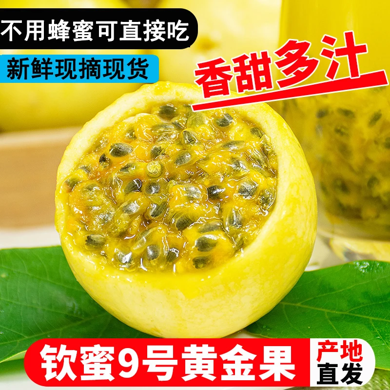 钦密9号黄金百香果3/5斤装新鲜香甜多汁