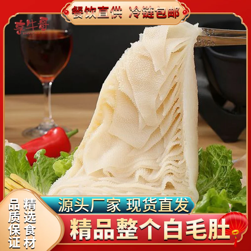 重庆火锅白毛肚整个带底板牛百叶牛肚串串毛血旺自助餐商用食材