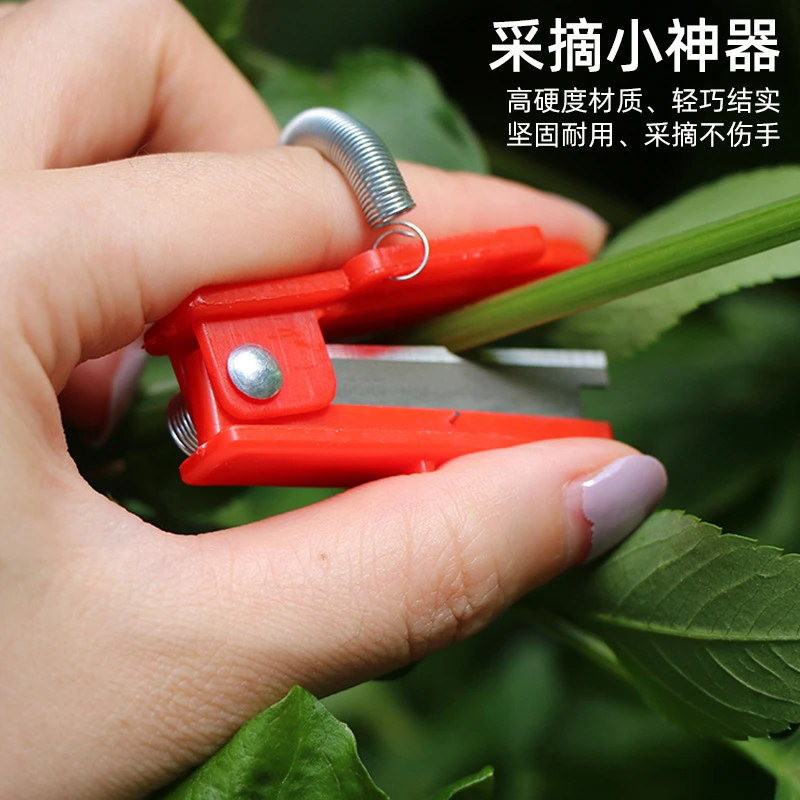采摘小铡刀拇指刀葡萄掐尖黄瓜蔬菜打叶掐须采摘器小铡刀采摘小刀