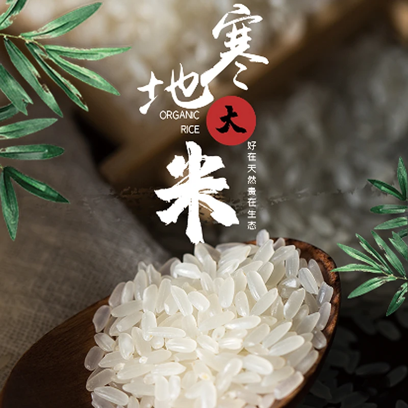 香米大米2024年东北大米五常产大米袋子10斤装长粒香新米包装袋