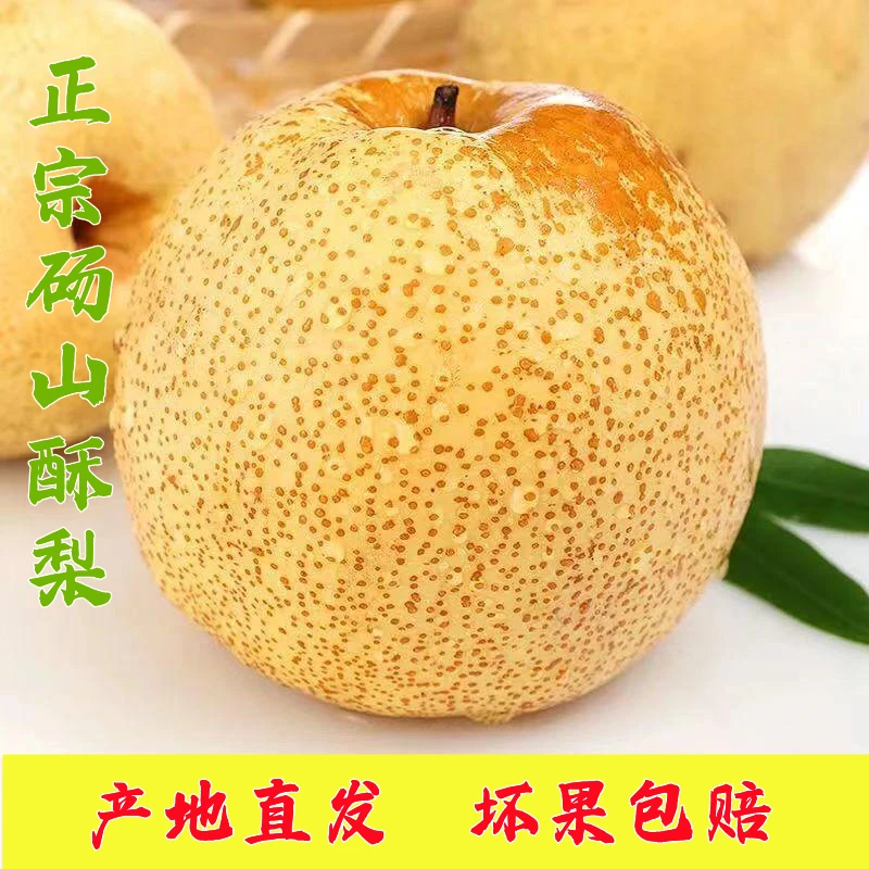 【坏果包赔】砀山百年老梨树酥梨贡梨脆梨新鲜水果产地直发带箱9斤