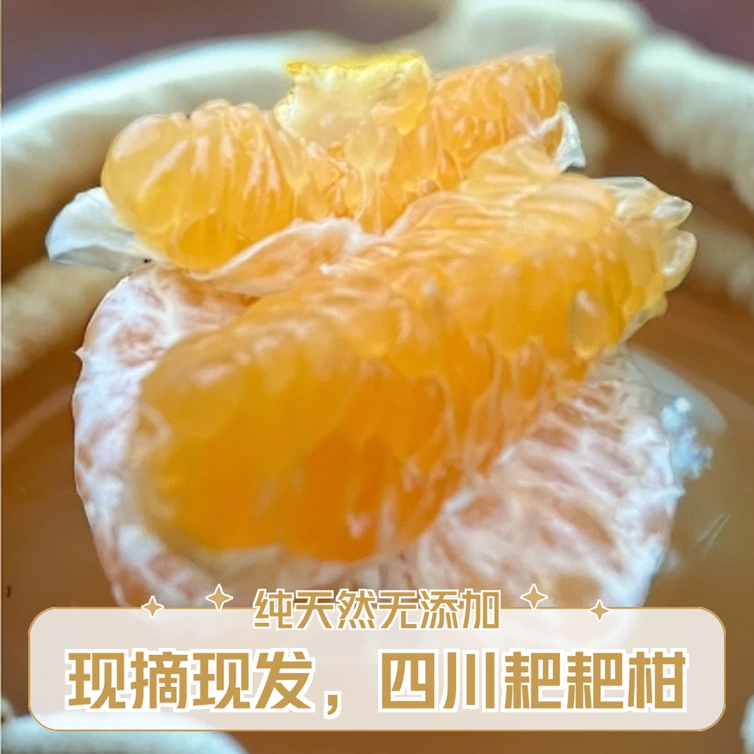 四川度佳镇刘小生自家果园种植耙耙柑自然成熟春见耙耙柑