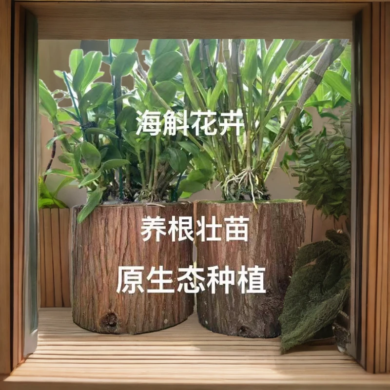【杉木桩】  原木实木庄园装饰花园 专用种植（石斛——-兰花）绿色植物