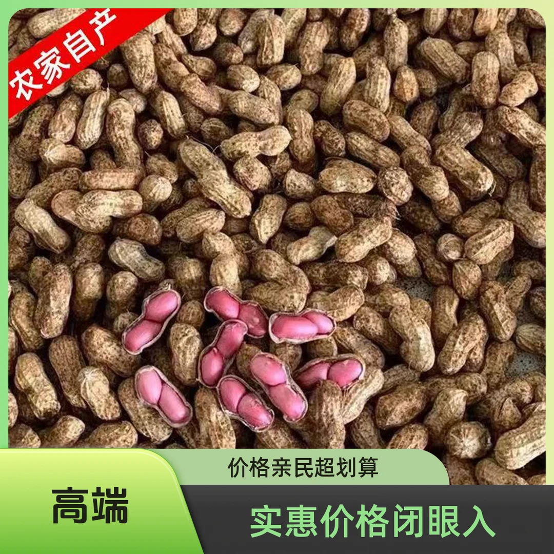【二粒红】24新鲜湿花生带壳带泥现挖可水煮生吃