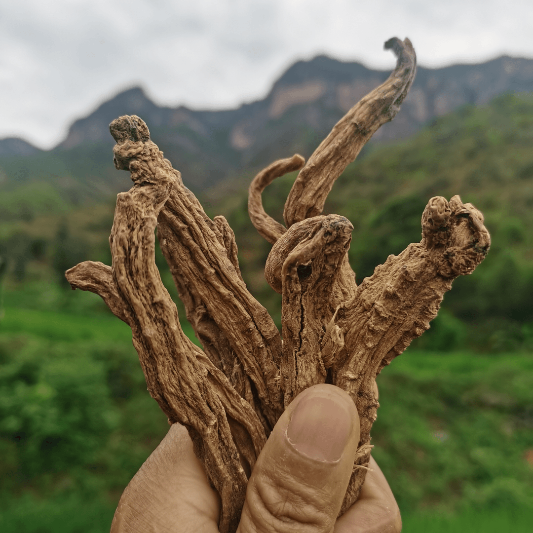 滇藏山货（深山好物）250克