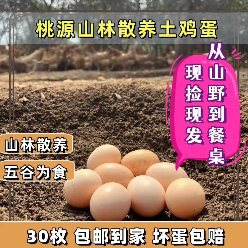 农家散养土鸡蛋（一枚45克左右）