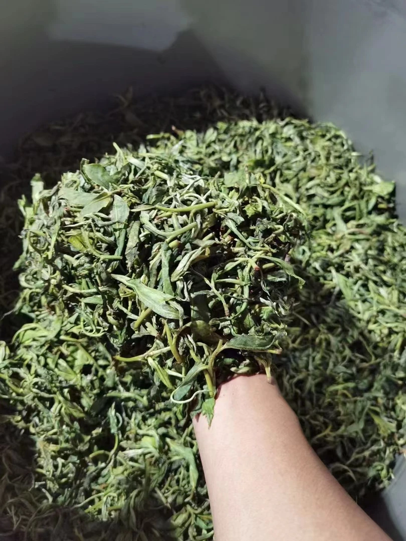 2022年【白莺山】普洱茶生茶50克