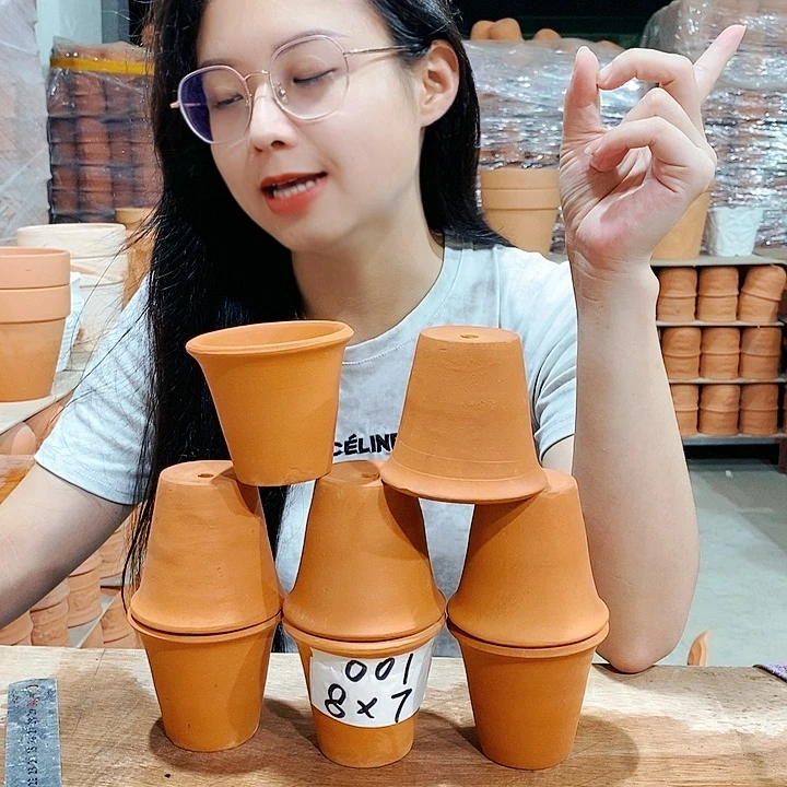 红陶20CM以下8×7八个