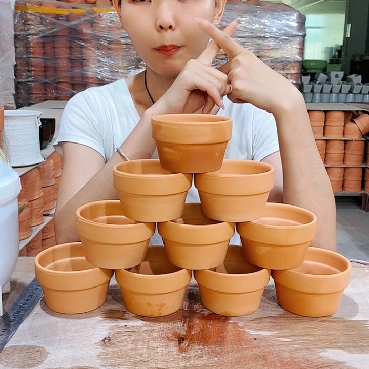 红陶20CM以下2-9×6十个