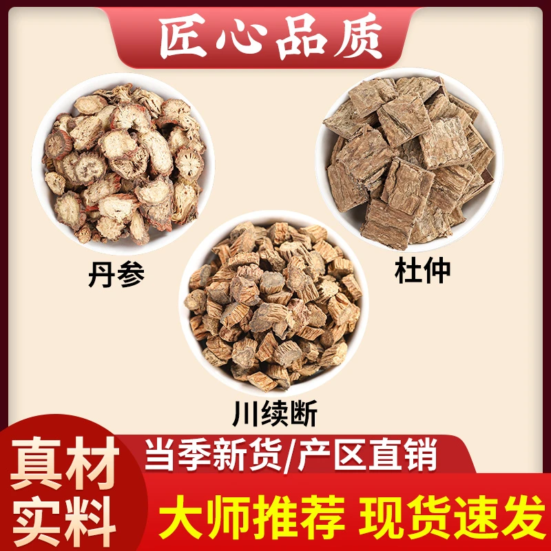 丹参杜仲续断各6g克正品丹参片川续断茶包泡水与作用