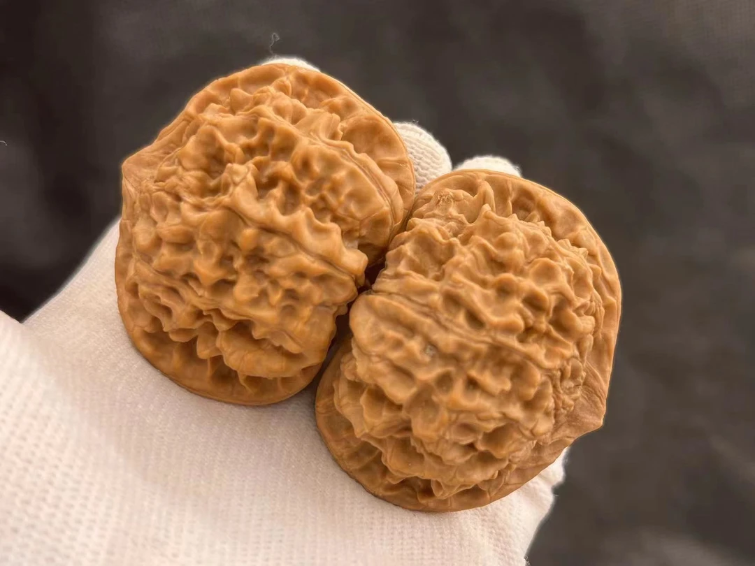 王勇官帽《校门抖音号》