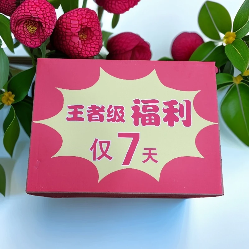 【冰岛老寨85号】王者级福利大礼包单株茶饼+古树散茶+.....