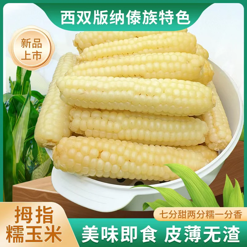 西双版纳玉米糯玉米真空包装香甜软糯早餐代餐1-5斤新鲜蒸煮