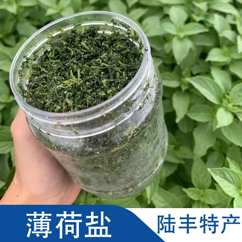 陆丰特产薄荷盐薄荷解九层塔下粥冲水纯正薄荷叶小时候味道小孩子