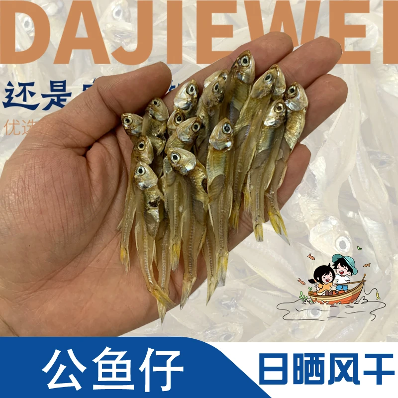 潮汕优选小鱼仔公鱼仔工鱼仔白凡鱼海燕鱼干潮汕风干海味海鱼特产