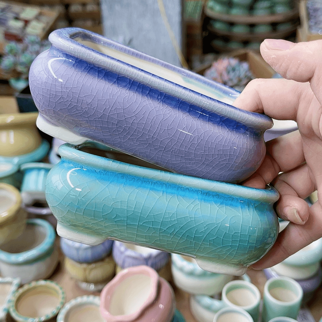 红陶20CM（含）-50CM（不含）