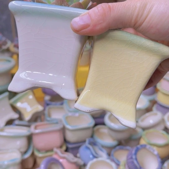 红陶20CM（含）-50CM（不含）