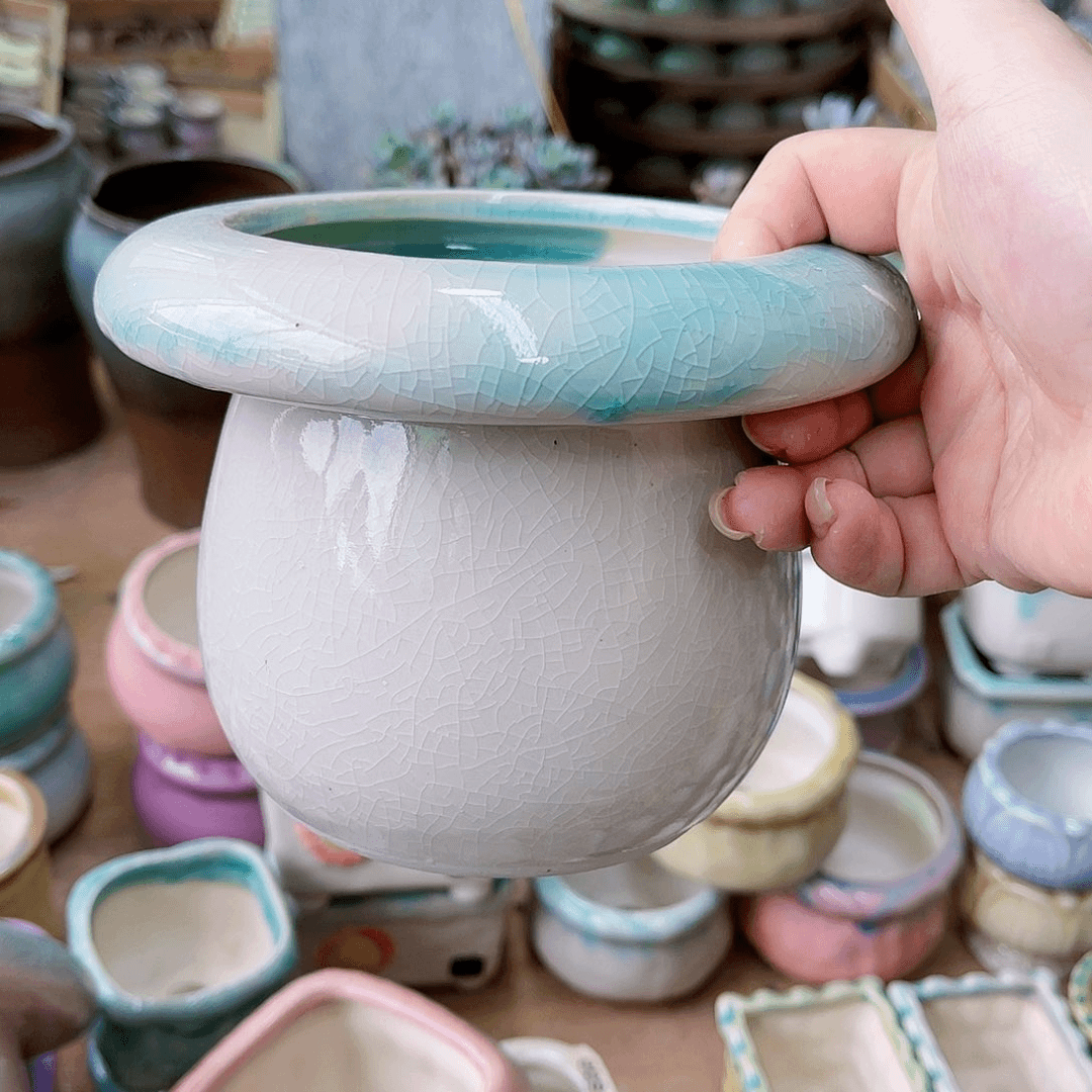 红陶20CM（含）-50CM（不含）