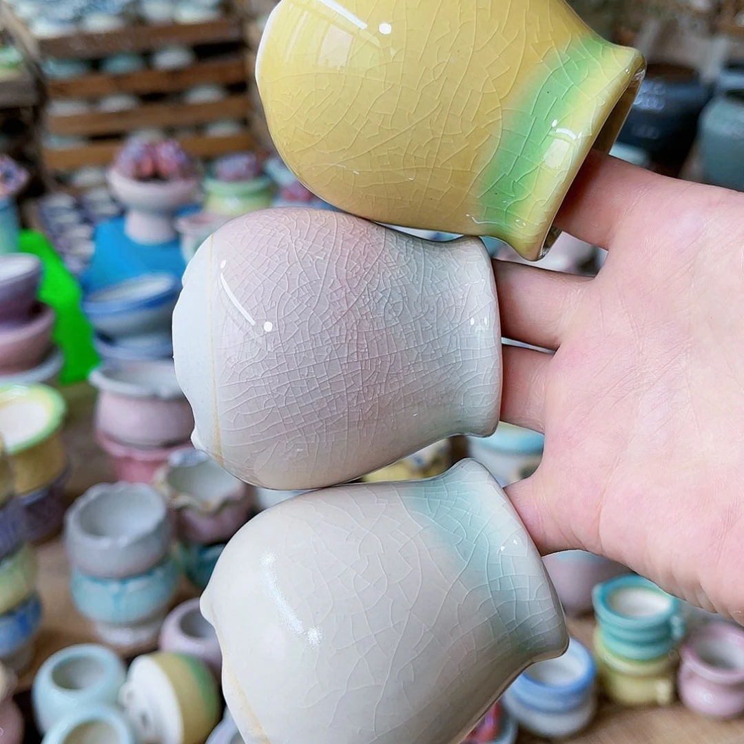 红陶20CM（含）-50CM（不含）