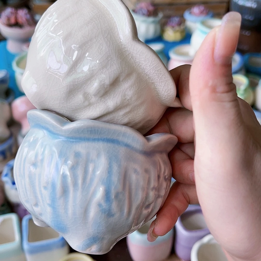 红陶20CM（含）-50CM（不含）