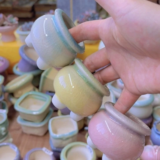 红陶20CM（含）-50CM（不含）