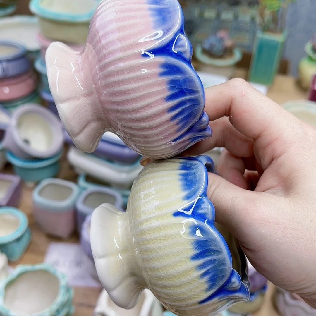 红陶20CM（含）-50CM（不含）