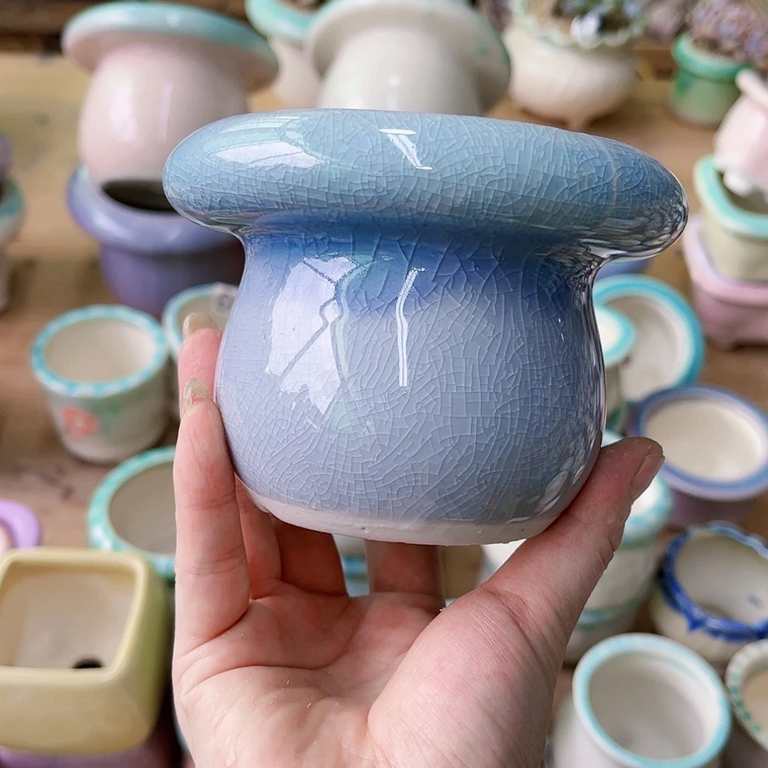 红陶20CM（含）-50CM（不含）