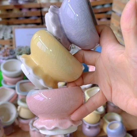 红陶20CM（含）-50CM（不含）