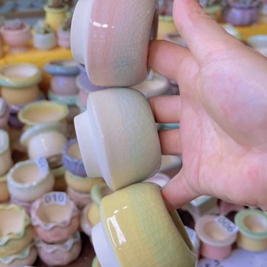 红陶20CM（含）-50CM（不含）