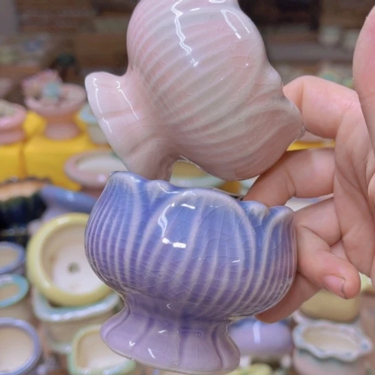 红陶20CM（含）-50CM（不含）