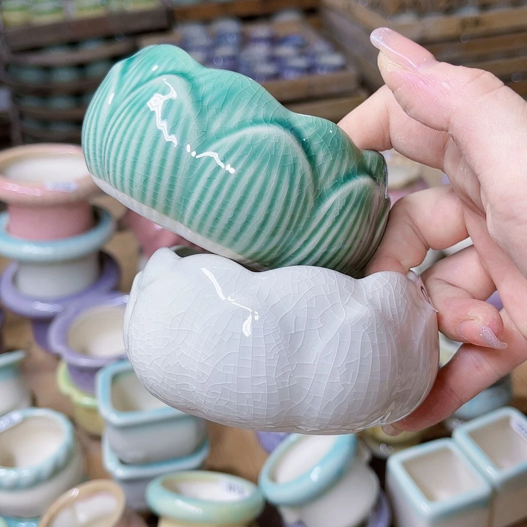 红陶20CM（含）-50CM（不含）