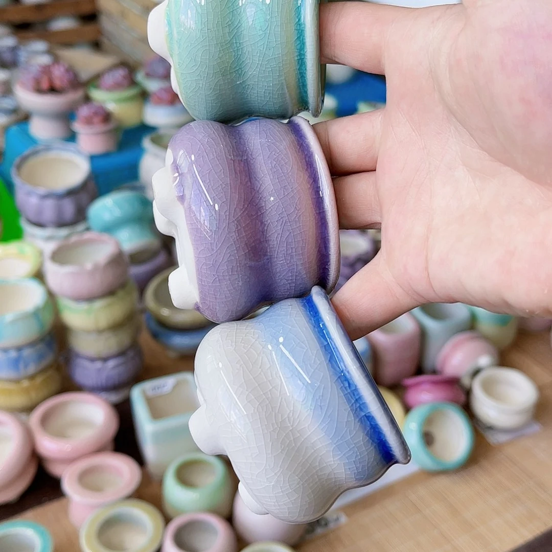红陶20CM（含）-50CM（不含）