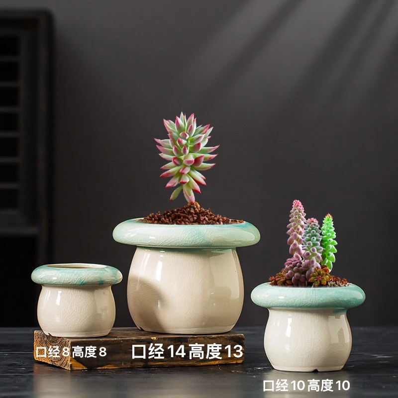 多肉花盆大号老桩拼盘粗陶简约复古素烧陶瓷创意盆栽包邮