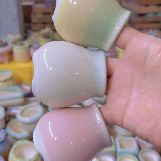 红陶20CM（含）-50CM（不含）