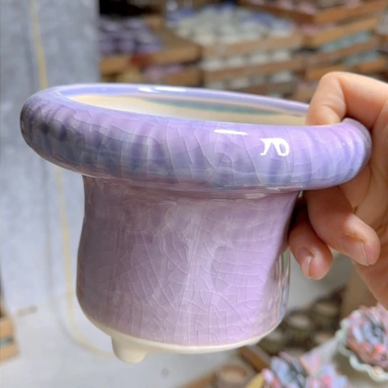 红陶200CM（含）-230CM（不含）