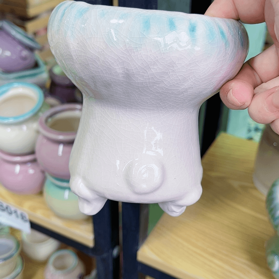 红陶20CM（含）-50CM（不含）