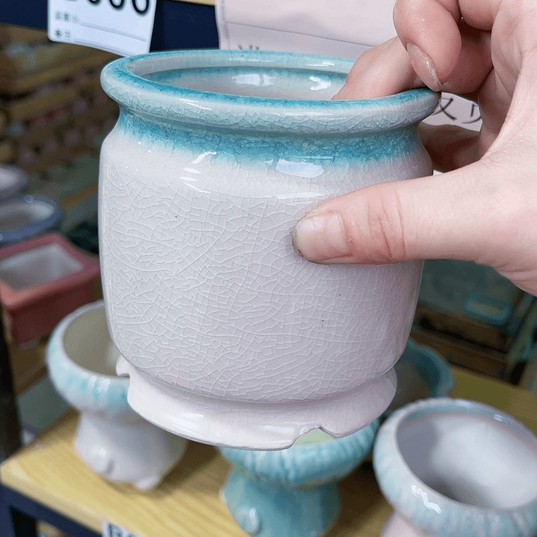 红陶20CM（含）-50CM（不含）